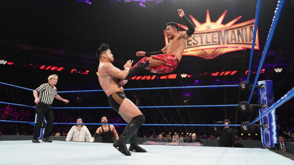 WWE 205 Live Results (1/29/19)